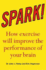 Spark: the Revolutionary New Science of Exercise and the Brain