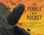 The Pebble in My Pocket: a History of Our Earth