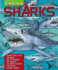 Action Files Sharks