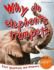 Why Do Elephants Trumpet? : First Questions and Answers Elephants (First Q&a)
