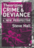 Theorizing Crime & Deviance: a New Perspective