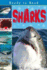 Sharks (Ready to Read)