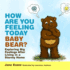 How Are You Feeling Today Baby Bear? : Exploring Big Feelings After Living in a Stormy Home