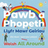 Pawb a Phopeth-Llyfr Mawr Geiriau / Welsh All Around