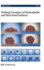 Wetting Dynamics of Hydrophobic and Structured Surfaces Vol 146 (Hb 2010)