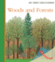 Woods and Forests (My First Discoveries)