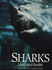 Sharks: Myth and Reality