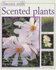 Scented Plants (Success With Gardening)