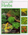 Success With Herbs