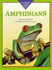 First Look at Amphibians