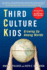 Third Culture Kids: Growing Up Among Worlds