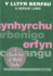Y Llyfr Berfau Welsh-English (English and Welsh Edition)