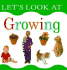 Growing (Let's Look Series)