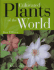 Cultivated Plants of the World: Trees, Shrubs and Climbers