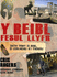 Beibl Fesul Llyfr, Y