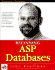 Beginning Asp Databases (Programmer to Programmer)