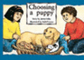 Choosing a puppy