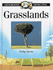 Geography Detective-Grasslands