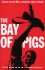 Bay of Pigs and the Cia