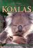 Discovering Australian Koalas