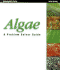 Algae: a Problem Solver Guide (Oceanographic Series)
