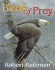 Birds of Prey-an Introduction