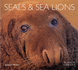 Seals and Sea Lions (Worldlife Library)