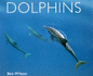 Dolphins