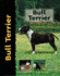 Bull Terrier-Dog Breed Book