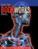 How the Body Works (a Comprehensive Illustrated Encyclopedia of Anatomy)