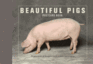 Beautiful Pigs Postcard Book