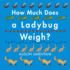 How Much Does a Ladybug Weigh? (Wild Facts & Amazing Math)