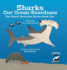 Sharks Our Ocean Guardians