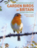 An Id Guide to Garden Birds of Britain