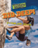 Dig Deep! Format: Paperback