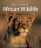 The Ultimate African Wildlife