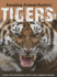 Tigers (Amazing Animal Hunters)