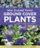 New Zealand Native Ground Cover Plants: a Practical Guide for Gardeners and Landscapers
