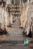 Explorations in Curriculum History (Hc)