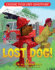 Lost Dog! (Choose Your Own Adventure-Dragonlarks)