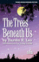 The Trees Beneath Us