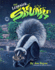 The Lovesick Skunk: on the Streets of New York Only One Color Matters