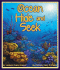 Ocean Hide and Seek