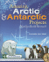 Amazing Arctic and Antarctic Projects