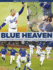 Blue Heaven-Los Angeles Dodgers World Series Champions