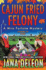 Cajun Fried Felony (Miss Fortune Mysteries)