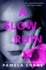 A Slow Ruin: A gripping psychological thriller with a shocking twist