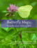 Butterfly Magic Grayscale Adult Coloring Book: Beautiful Coloring Pages of Butterflies in a Light Grayscale for Fun and Relaxation