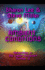Ambient Conditions (Adventures in the Liaden Universe )