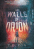 The Walls of Orion (the Walls of Orion Duology)